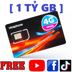 [ DEAL SIM 4G VINA ] TỔNG HỢP Sim Mạng Vinaphone Sim 4G trọn gói 1 năm Xài Full Dung Lượng Data Tốc Độ Cao 50Gb – 1 Tỷ GB Gói 12VD149 D500 12TD49 12VD89P 12D159 U1500 Big50y D89Y 12W60p Thaga Yolo100 sim vina 4g 1 năm FREESHIP – CHƯA KÍCH HOẠT